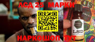 гидропоника Будённовск