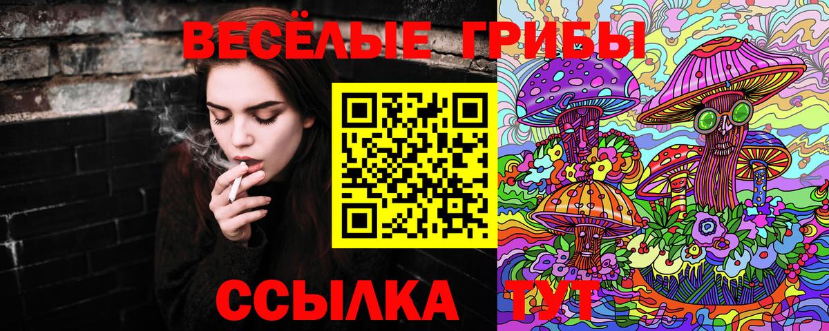 Фурманов  Псилоцибиновые грибы мухоморы  Вход с VPN 